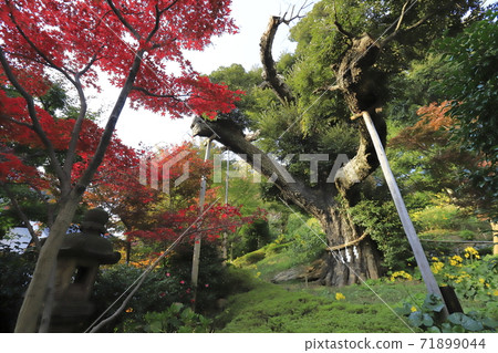 東京文京區三ika町椿山莊花園酒店，東京 71899044