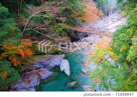 在德島縣三好市的Iya,Kazura Bridge 在德島縣三好市的Iya,Kazura Bridge 71899047
