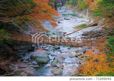 在德島縣三好市的Iya，Kazura Bridge 71899048