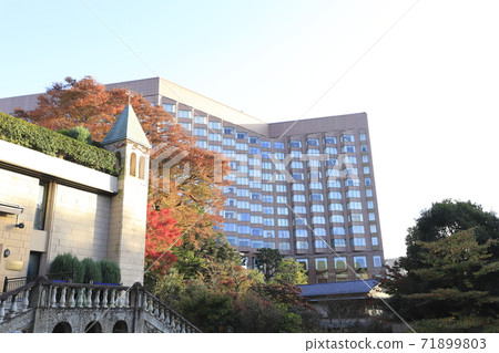 東京文京區東京椿山莊酒店，東京 71899803