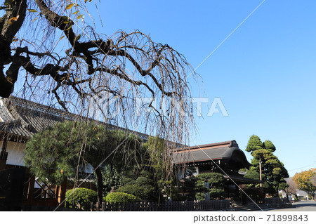 秋天的川越城堡 71899843