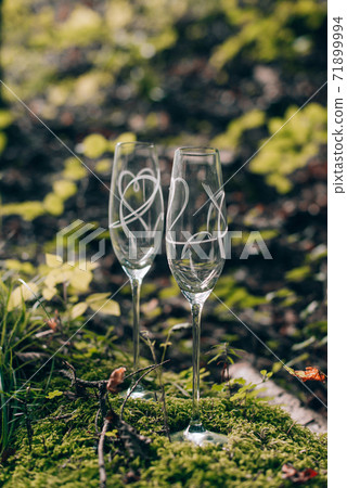 Two empty glasses outdoors at sunset. empty glasses on the ground in the woods 71899994