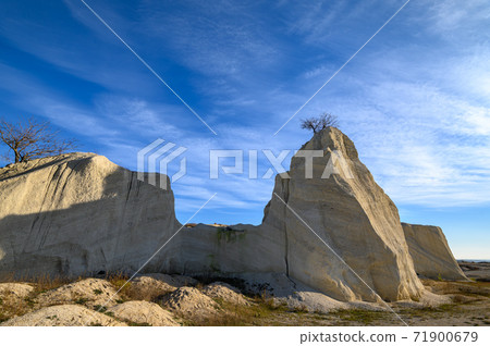 Limestone rock with tree on the top at limestone quarry Limestone rock with tree on the top at limestone quarry 71900679