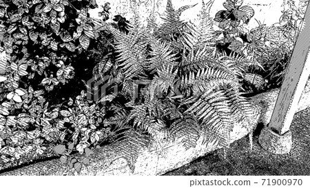 Fern leaf cartoon filter Fern leaf cartoon filter 71900970
