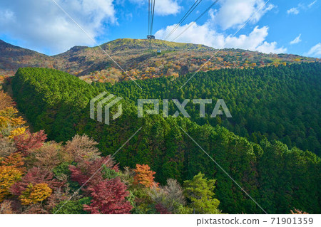 從秋天的神奈川縣箱根町箱根小岳索道到小岳 71901359