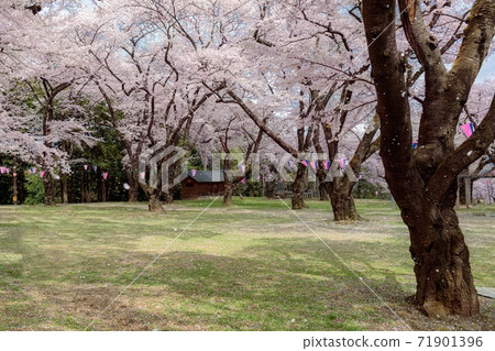 長野縣伊那市春日春日公園的風景 照片素材 圖片 圖庫