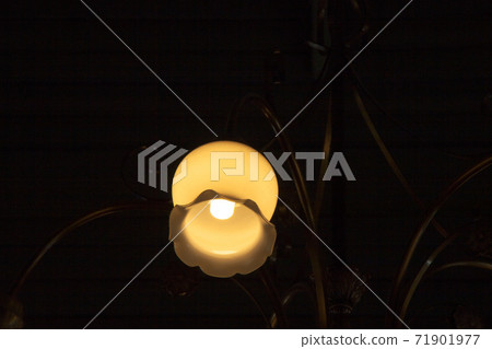 Lamp light Lamp light 71901977