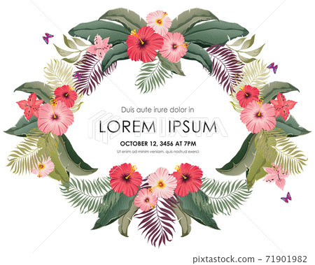 Vector illustration of tropical floral frame in summer for Wedding, anniversary, birthday and party. Design for banner, poster, card, invitation and scrapbook Vector illustration of tropical floral frame in summer for Wedding, anniversary, birthday and party. Design for banner, poster, card, invitation and scrapbook 71901982