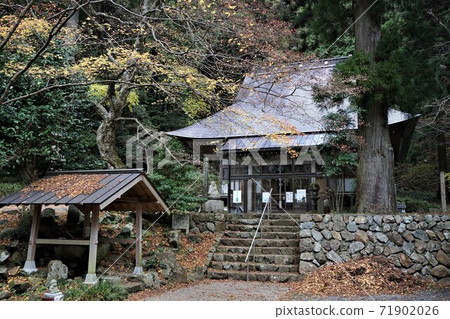 岡山縣勝田郡那吉町淨土宗“博大寺”(以被選為日本百佳樹種的大型銀杏而聞名) 岡山縣勝田郡那吉町淨土宗“博大寺”(以被選為日本百佳樹種的大型銀杏而聞名) 71902026