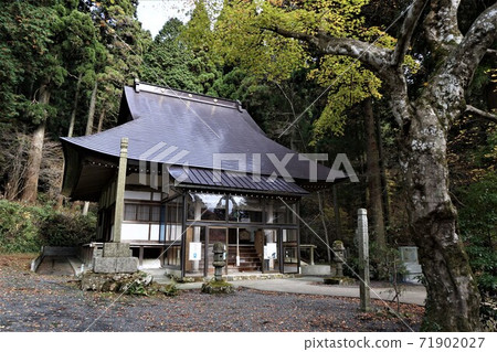 "Bodaiji", a temple of the Jodo sect in Nagi-cho, Katsuta-gun, Okayama Prefecture (famous for the large ginkgo tree that was selected as one of the 100 best-known trees in Japan) "Bodaiji", a temple of the Jodo sect in Nagi-cho, Katsuta-gun, Okayama Prefecture (famous for the large ginkgo tree that was selected as one of the 100 best-known trees in Japan) 71902027