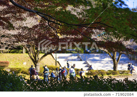 Serigaya Park gathering 71902084