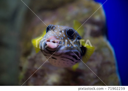 Aquarium is fun Aquarium is fun 71902239