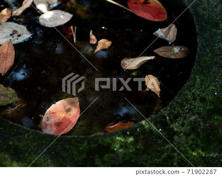 枯葉散落在水面上 71902287
