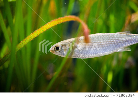 Aquarium is fun Aquarium is fun 71902384