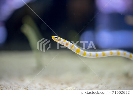 Aquarium is fun Aquarium is fun 71902632