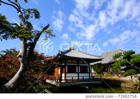 Tenpyo's Sogokubunnanji Temple Hokkaji Monzeki 71902756