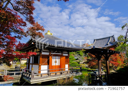 Tenpyo's Sogokubunnanji Temple Hokkaji Monzeki 71902757