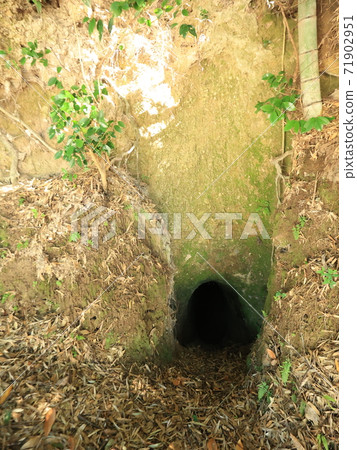 洞穴 71902951