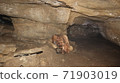 cave 71903019