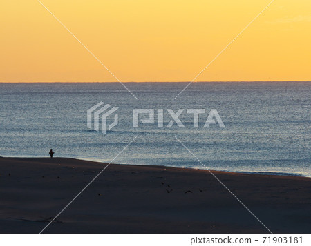 Cape Irago,日出時釣魚的人 Cape Irago,日出時釣魚的人 71903181