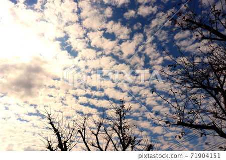 Sky Cloud Blue Sky 71904151