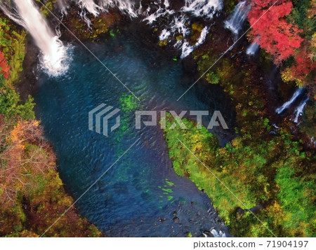 Autumn leaves and Shiraito Falls Autumn leaves and Shiraito Falls 71904197