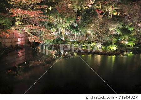 東京文京區椿山莊東京秋季照明酒店 71904327