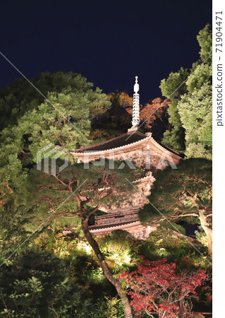 Hotel Chinzanso Tokyo Illuminated three-storied pagoda Hotel Chinzanso Tokyo Illuminated three-storied pagoda 71904471