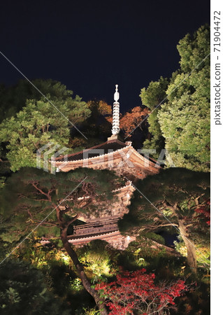 Hotel Chinzanso Tokyo Illuminated three-storied pagoda Hotel Chinzanso Tokyo Illuminated three-storied pagoda 71904472
