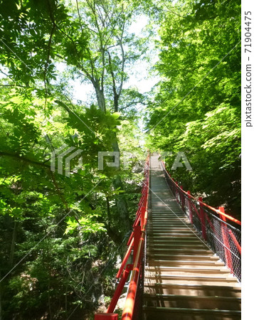 群馬大aki的紅色吊橋。 群馬大aki的紅色吊橋。 71904475