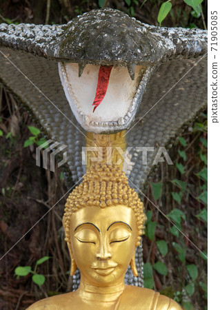 Gilded Buddha sits under a cobra at Buddhist monastery Wat Si Sou Mang, focus on snake. Gilded Buddha sits under a cobra at Buddhist monastery Wat Si Sou Mang, focus on snake. 71905085