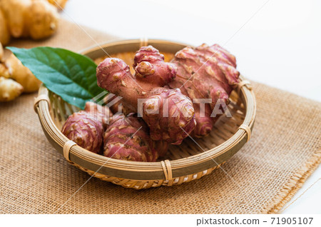 紫菊花 71905107