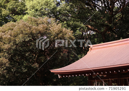 屋頂 71905291