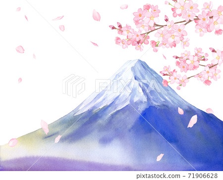 Spring flowers: Sakura and Mt. Fuji scenery watercolor illustration (white background) 71906628