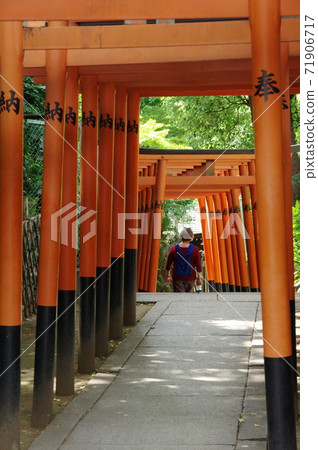 花之野稻荷神社的鳥居(上野) 花之野稻荷神社的鳥居(上野) 71906717
