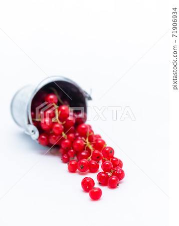 A metal basin filled with red currants A metal basin filled with red currants 71906934