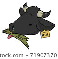 Ushi (Japanese Black) 71907370