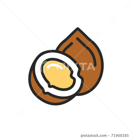 Coconut color line icon. Isolated vector element. Outline pictogram for web page, mobile app, promo. 71908385
