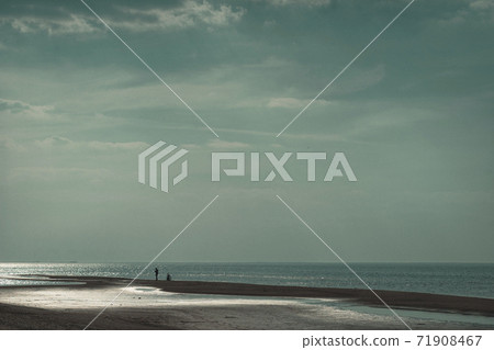 Spring walks on the Baltic beach 71908467