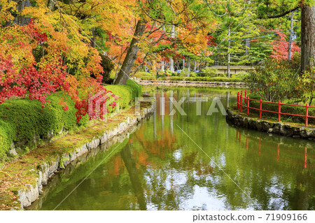 Koyasan autumn leaves Koyasan autumn leaves 71909166