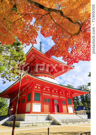 高山秋葉 71909308