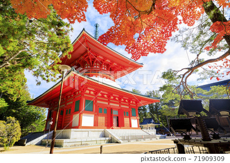 Koyasan autumn leaves Koyasan autumn leaves 71909309