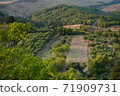 Countryside at sunset - A typical Italian glimpse 71909731