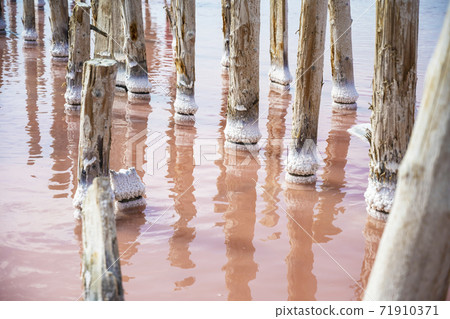 Wooden poles on the pink salt lake Sasyk in the Republic of Crimea, Russia. Sunny day September 27 Wooden poles on the pink salt lake Sasyk in the Republic of Crimea, Russia. Sunny day September 27 71910371