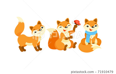 Cute Orange Fox Wearing Scarf and Playing with Butterfly Vector Set Cute Orange Fox Wearing Scarf and Playing with Butterfly Vector Set 71910479
