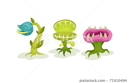 carnivores clipart flower