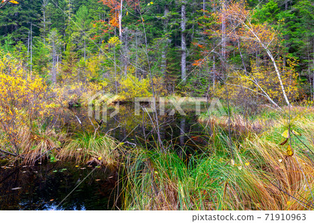 Carpathians. Crane Lake. 71910963