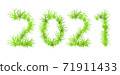 Vector illustration of 2021 year 71911433