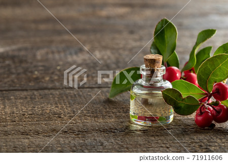 A bottle of essential oil with fresh wintergreen A bottle of essential oil with fresh wintergreen 71911606