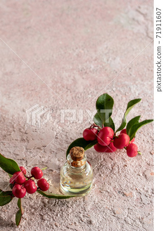 A bottle of essential oil with wintergreen twigs with copy space A bottle of essential oil with wintergreen twigs with copy space 71911607